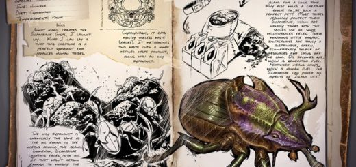 Dung Beetle | Жук Навозник
